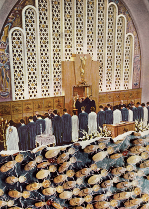 collaboration for Ice Cream Kingdoms