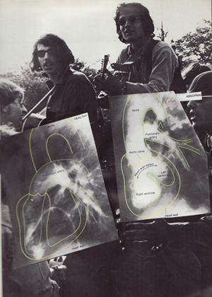 collaboration for Ice Cream Kingdoms