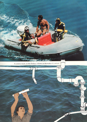 collaboration for Ice Cream Kingdoms