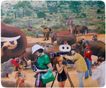 Pics or It Didn’t Happen! (An Elephant Never Forgets)