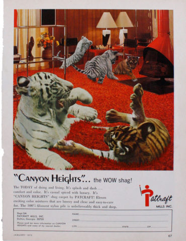 “Canyon Heights”… the WOW shag!