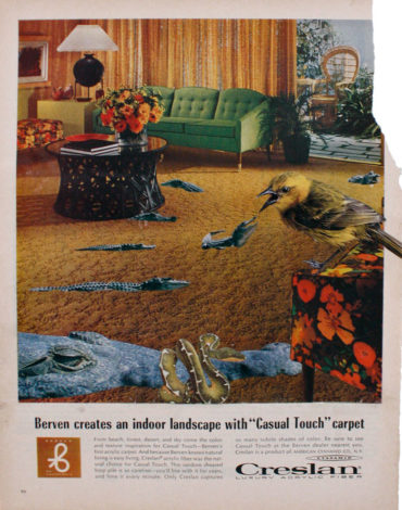 Create an indoor landscape with “Casual Touch” carpet